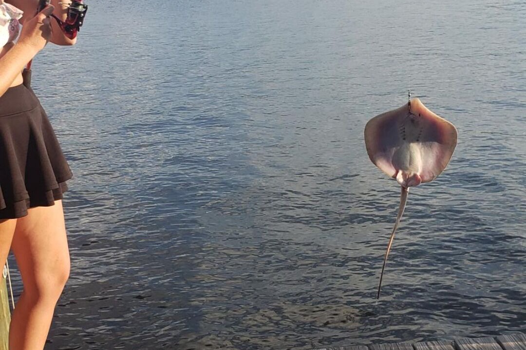 Photo of Outdoor in Welaka