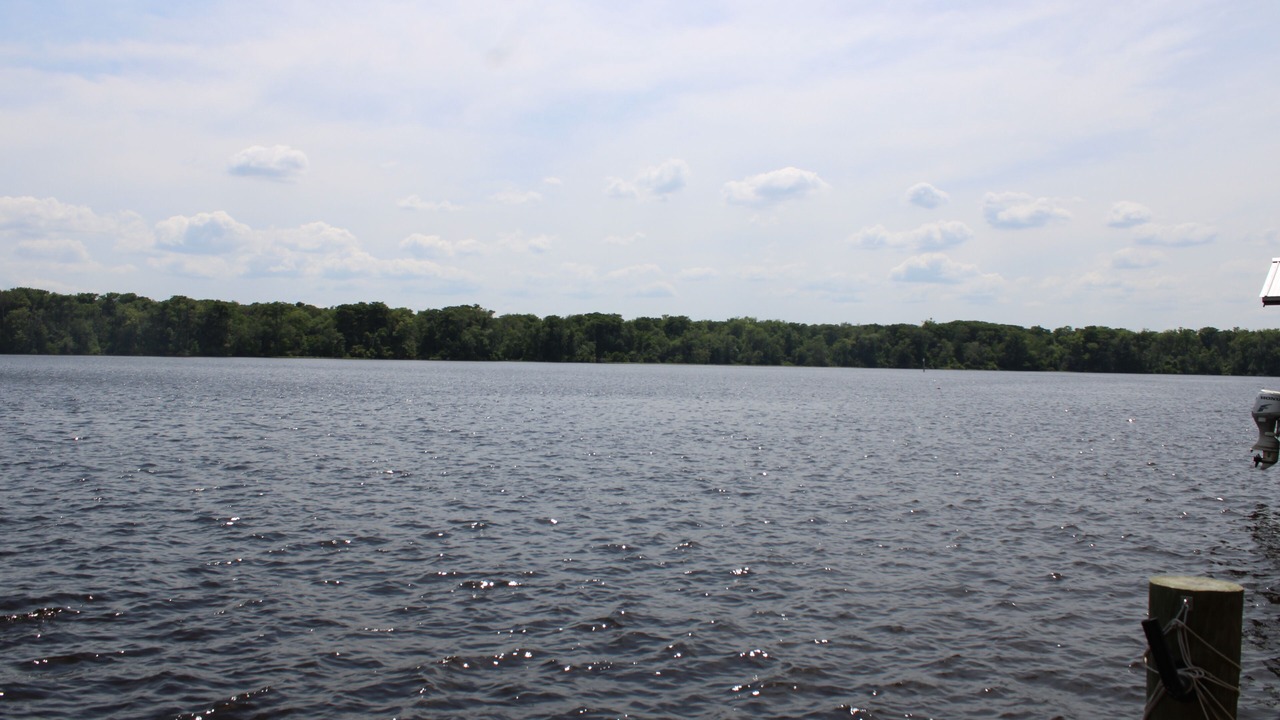 Photo of Outdoor in Welaka