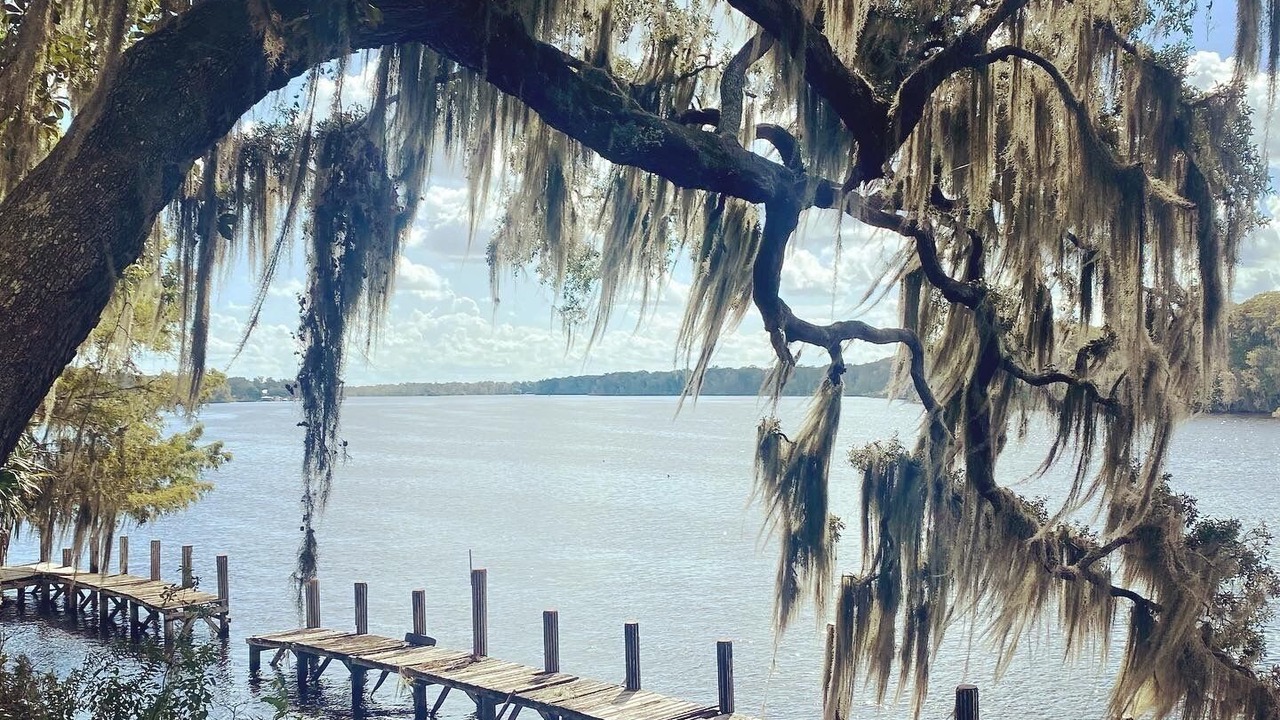Photo of Others in Satsuma