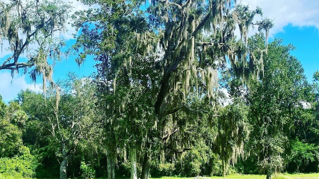 Photo of Outdoor in Satsuma