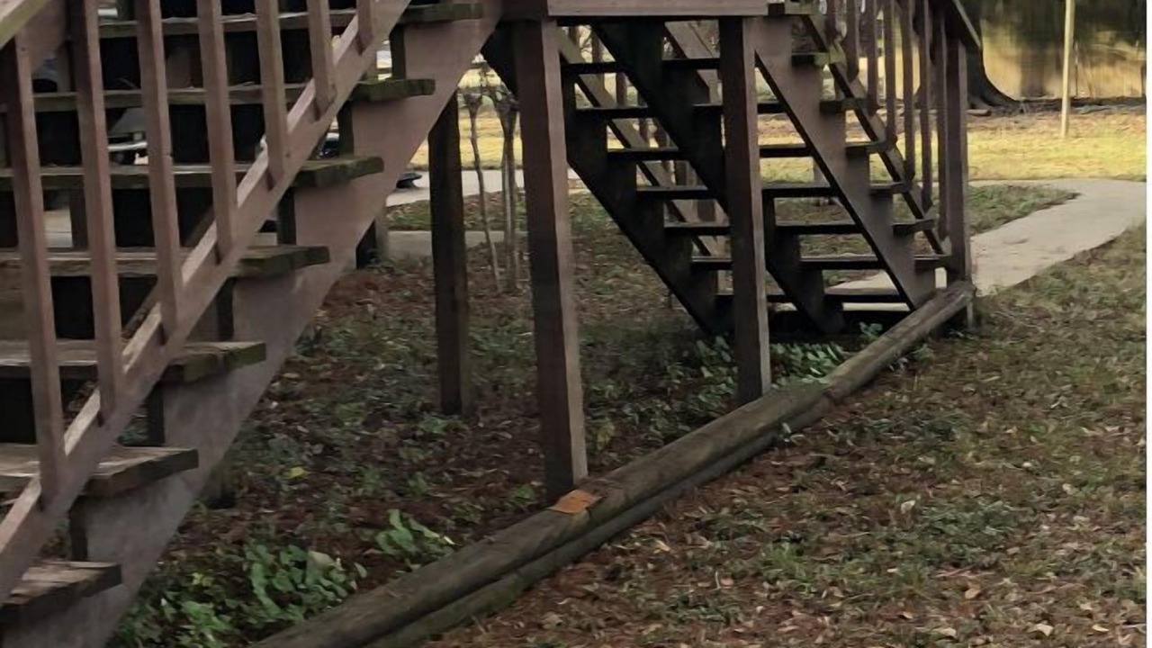 Photo of Outdoor in Redwood