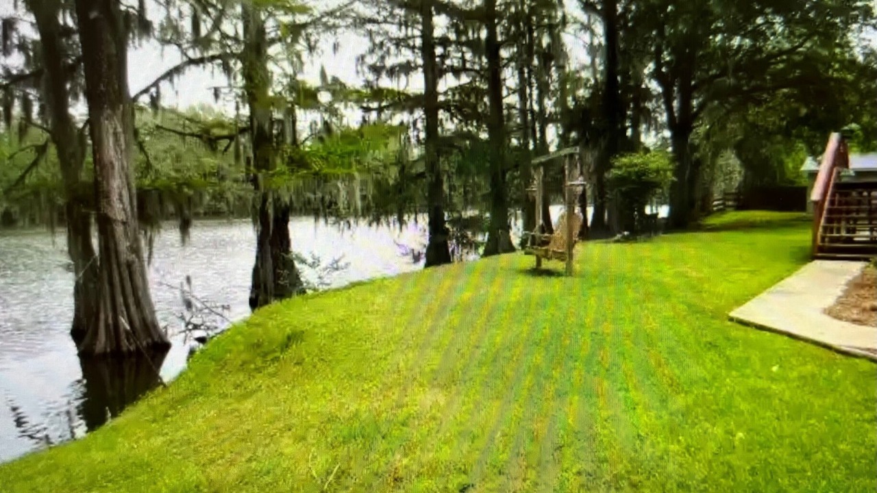 Photo of Outdoor in Redwood