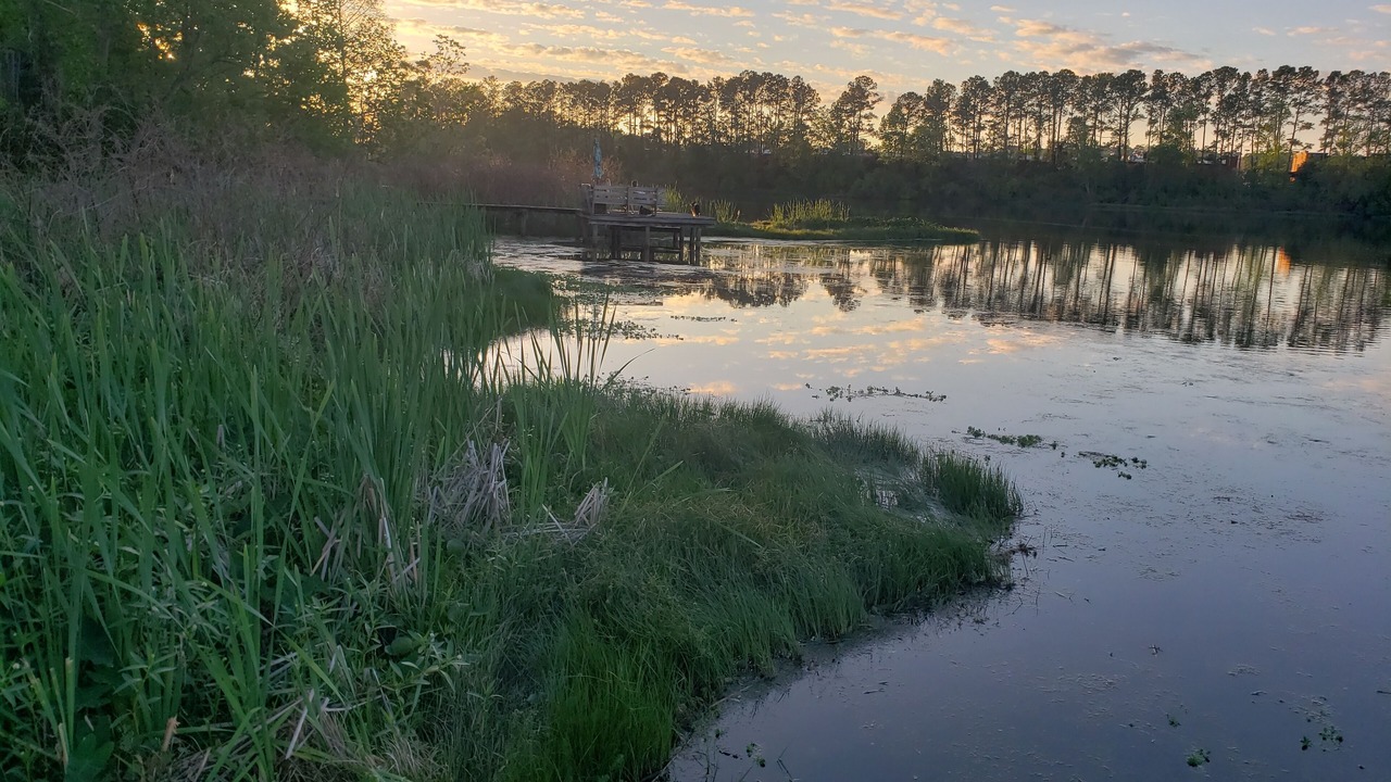 Photo of Outdoor in Daphne