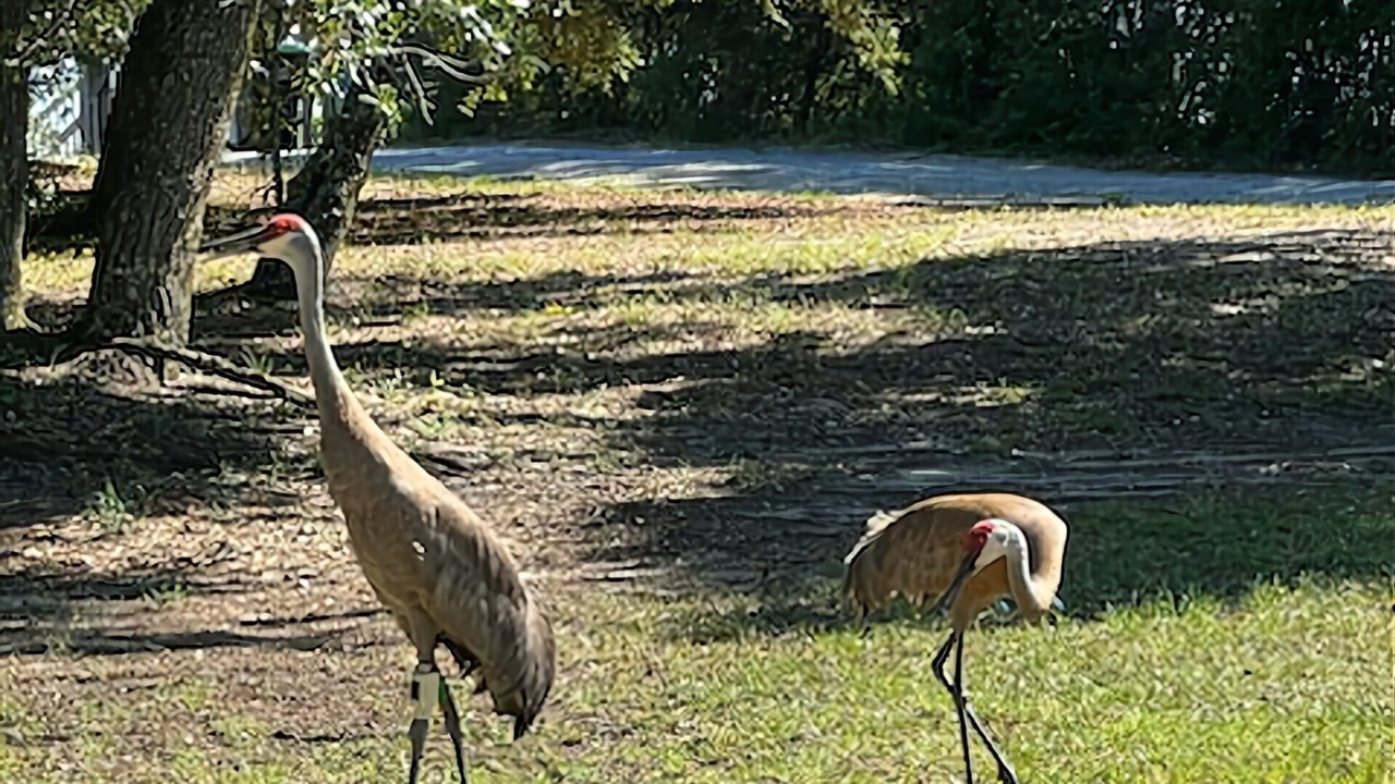 Photo of Others in Ocean Springs