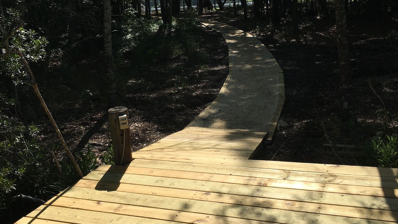 Photo of Outdoor in Bon Secour