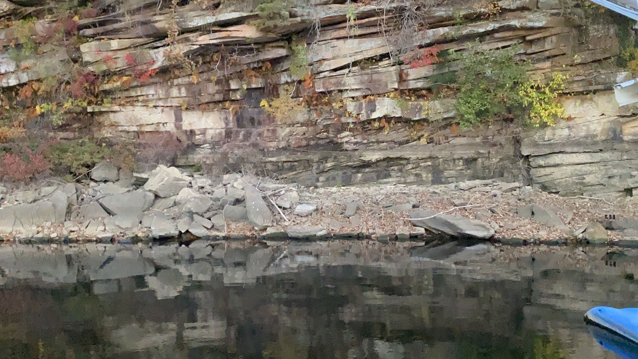 Photo of Others in Crane Hill