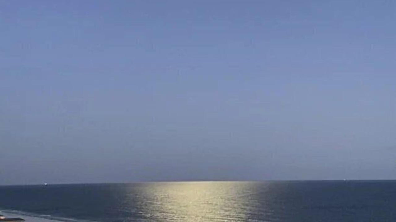 Photo of Others in Gulf Shores