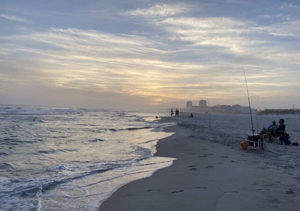 Photo of Others in Gulf Shores