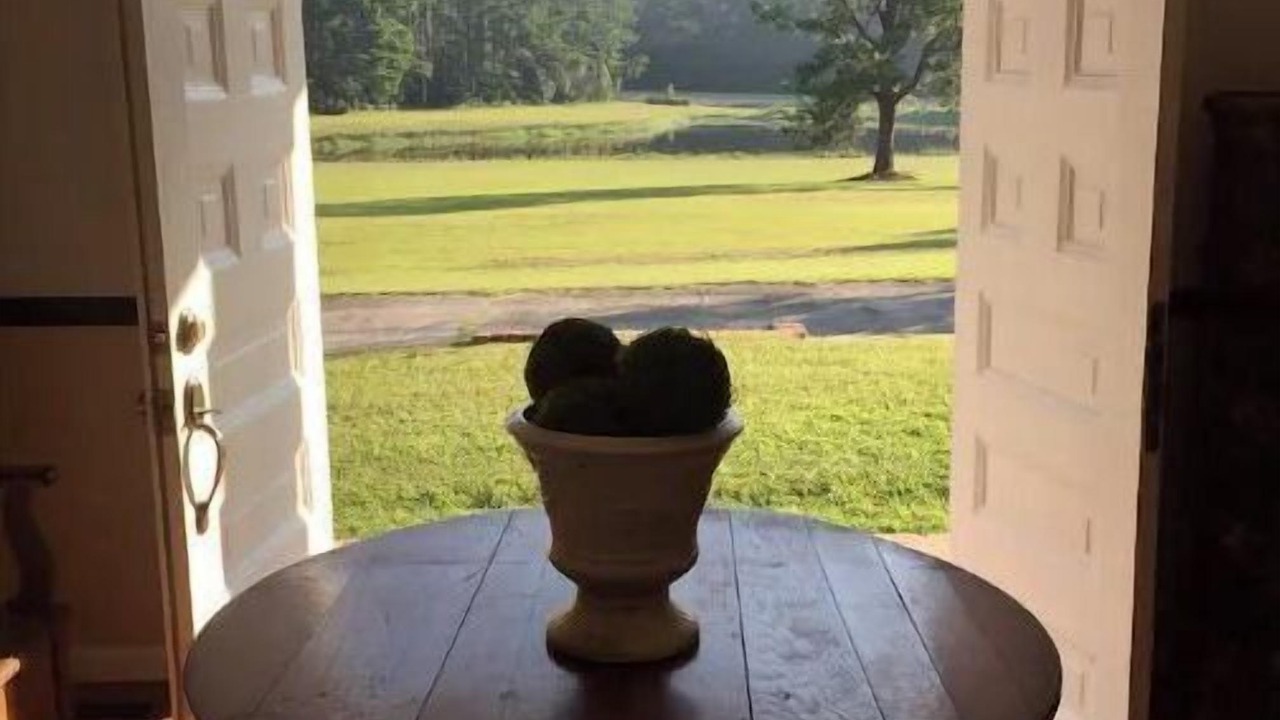 Photo of Outdoor in Thomasville