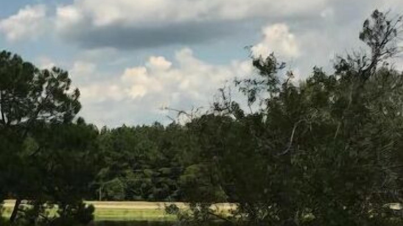 Photo of Outdoor in Thomasville