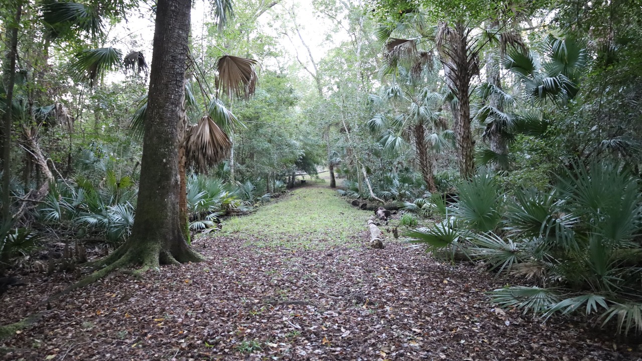 Photo of Outdoor in Interlachen