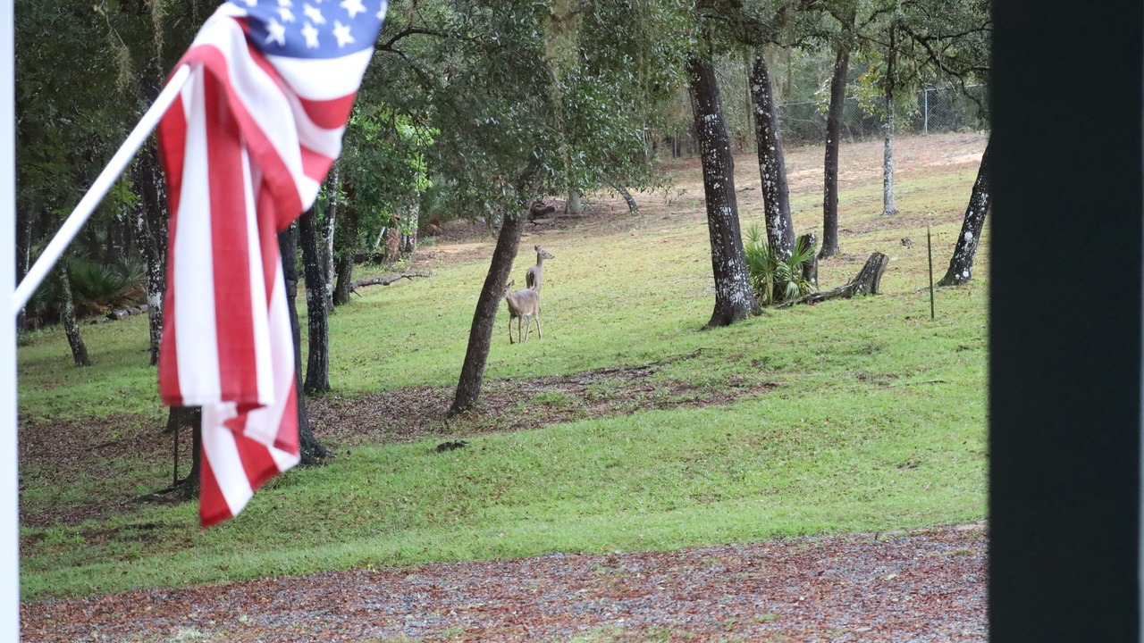 Photo of Outdoor in Interlachen