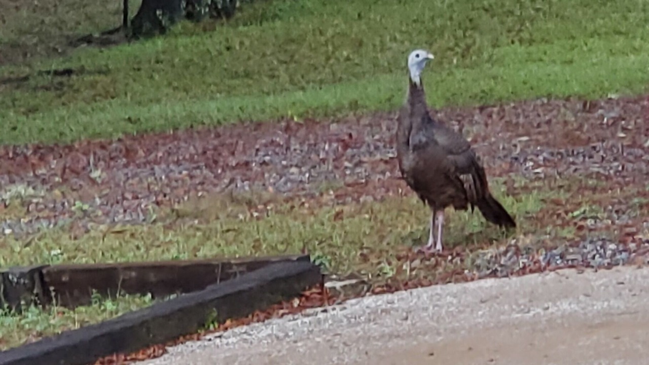 Photo of Outdoor in Interlachen