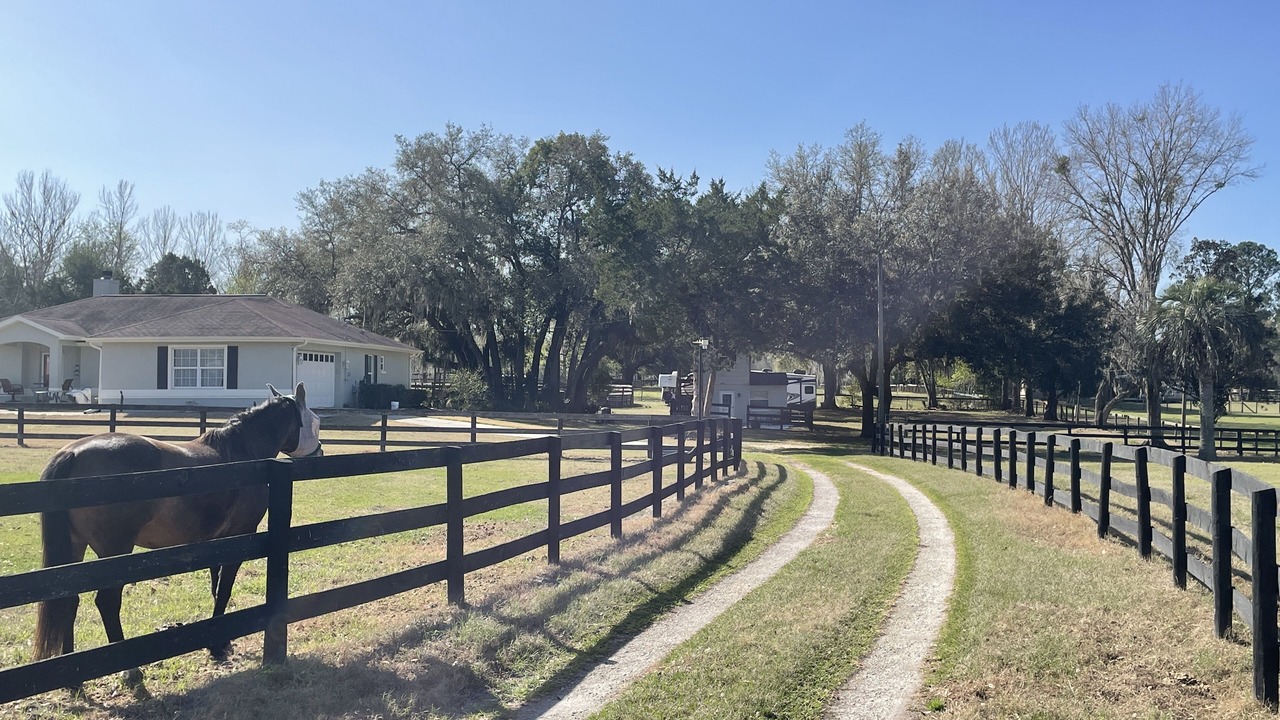 Photo of Outdoor in Ocala