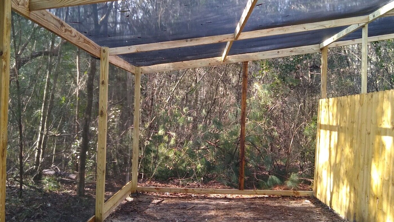Photo of Outdoor in Baker
