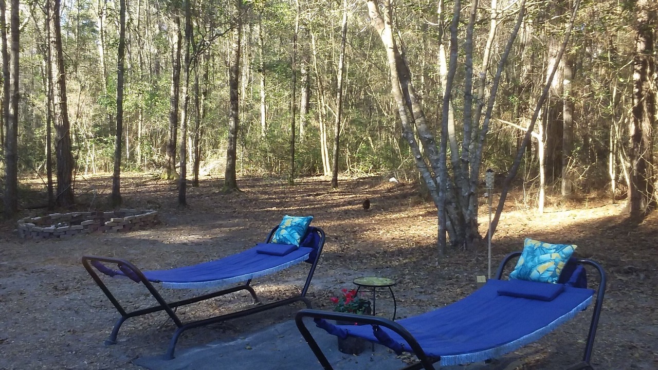 Photo of Outdoor in Baker
