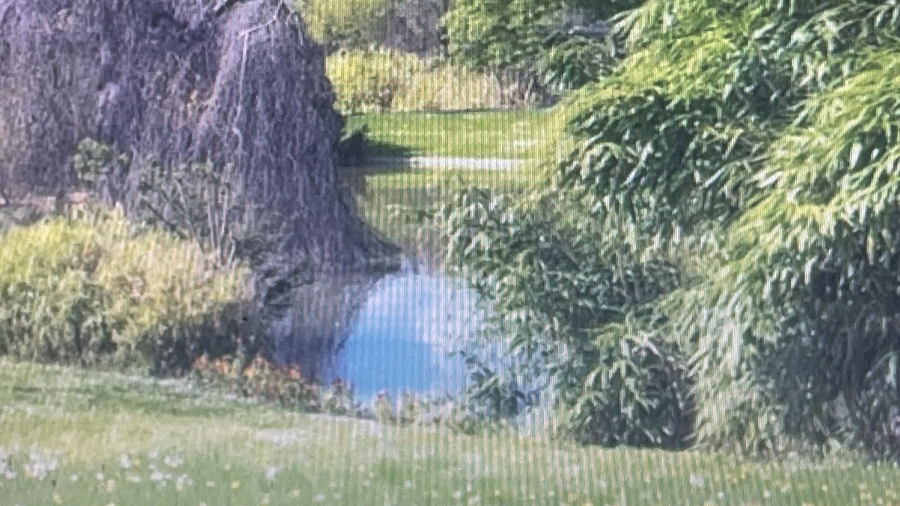 Photo of Outdoor in Morrow
