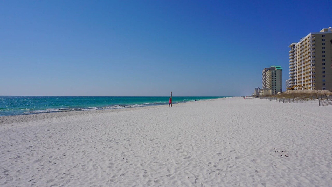 Photo of Others in Gulf Shores