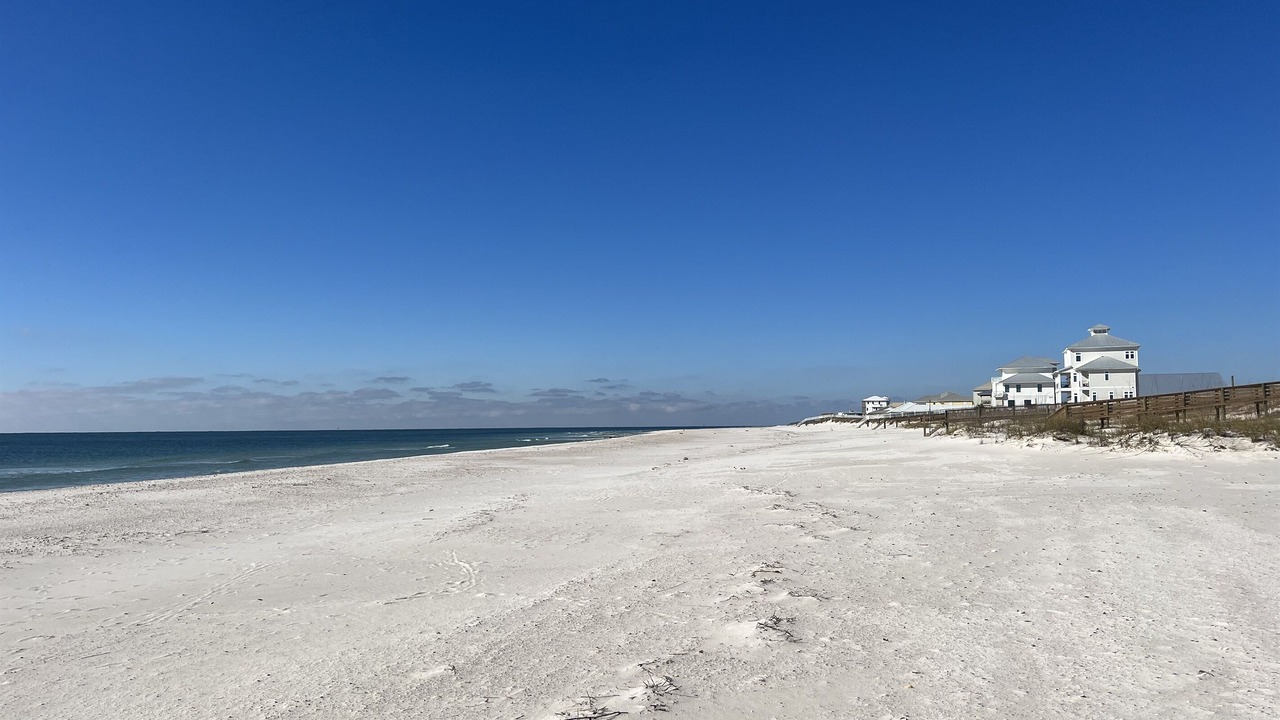 Photo of Others in Gulf Shores