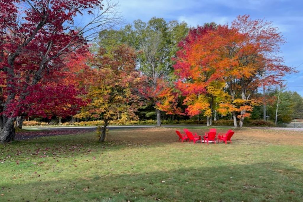 Photo of Outdoor in Trout Lake