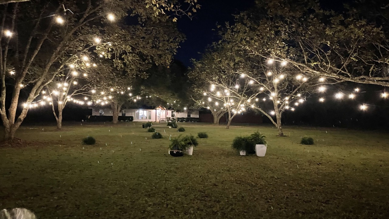 Photo of Outdoor in Rayville