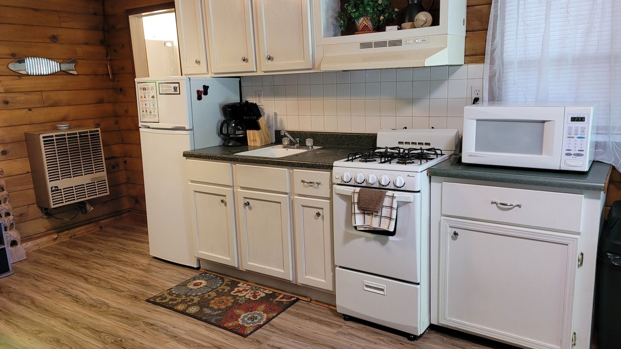 Photo of Kitchen in Newaygo
