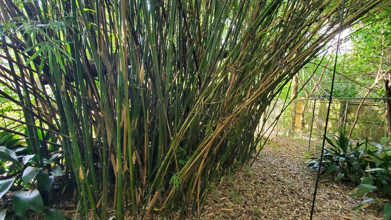 Photo of Outdoor in Mobile