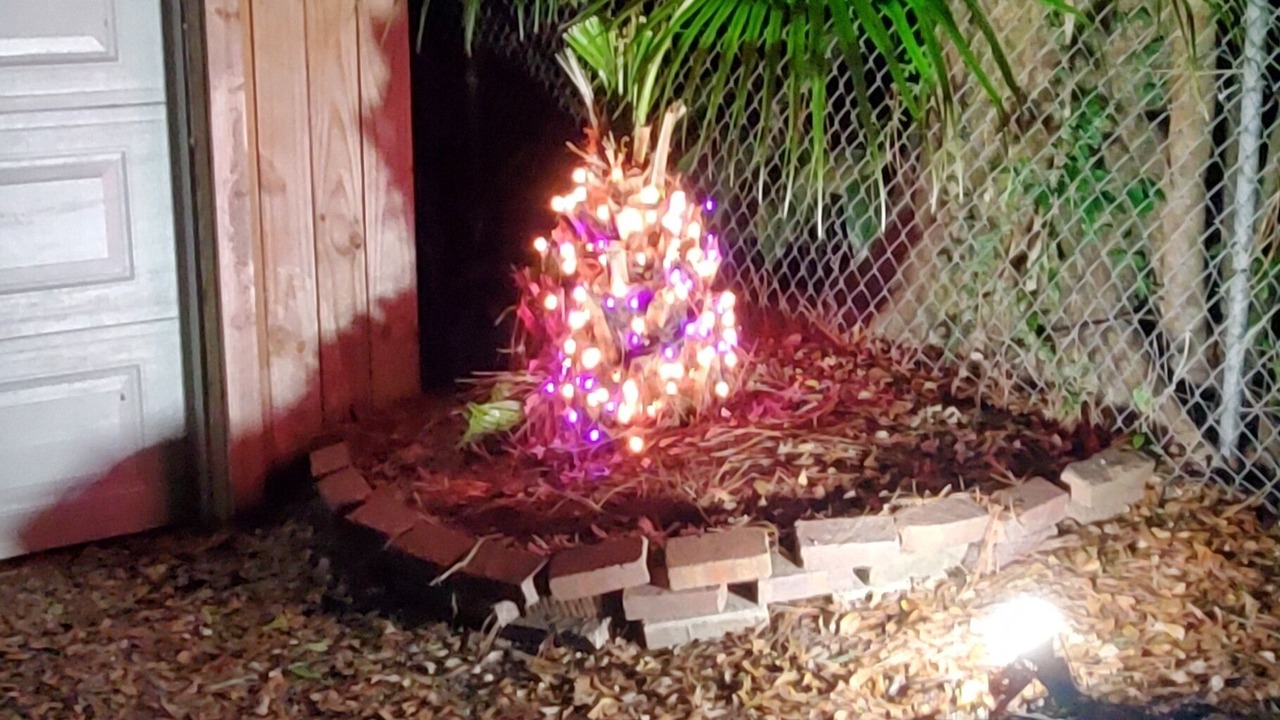 Photo of Outdoor in Mobile