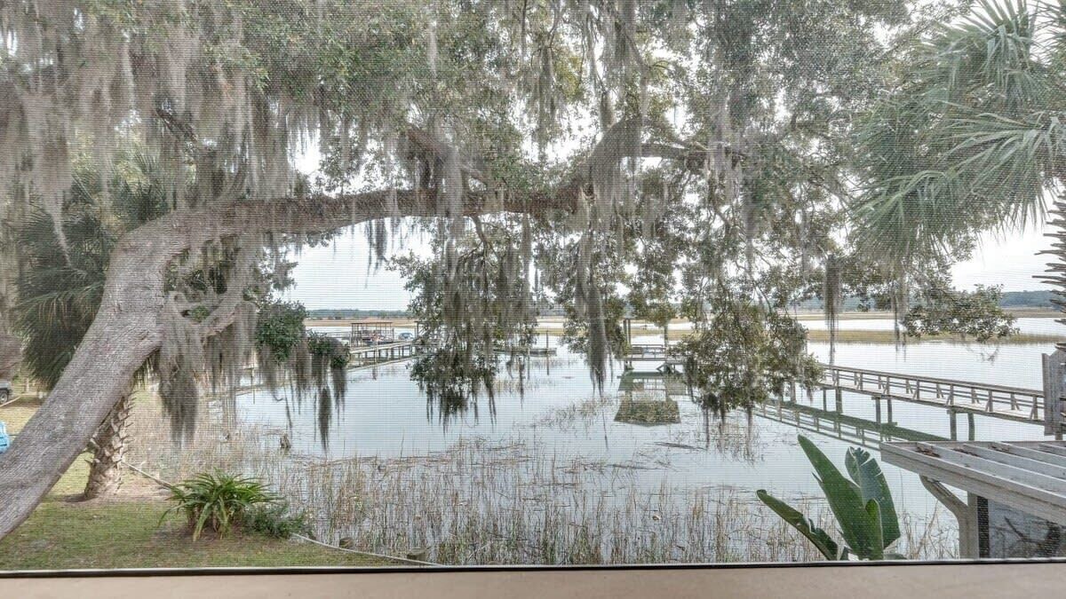 Photo of Others in Savannah