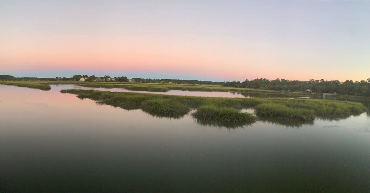 Photo of Outdoor in Savannah