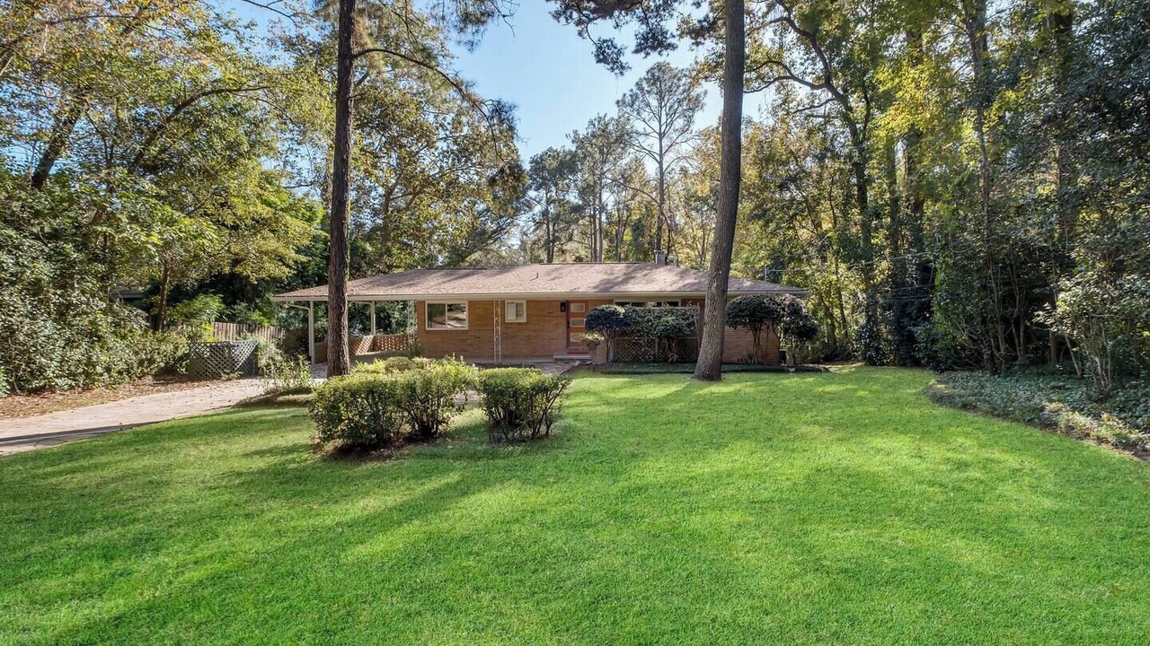 Photo of Outdoor in Tallahassee