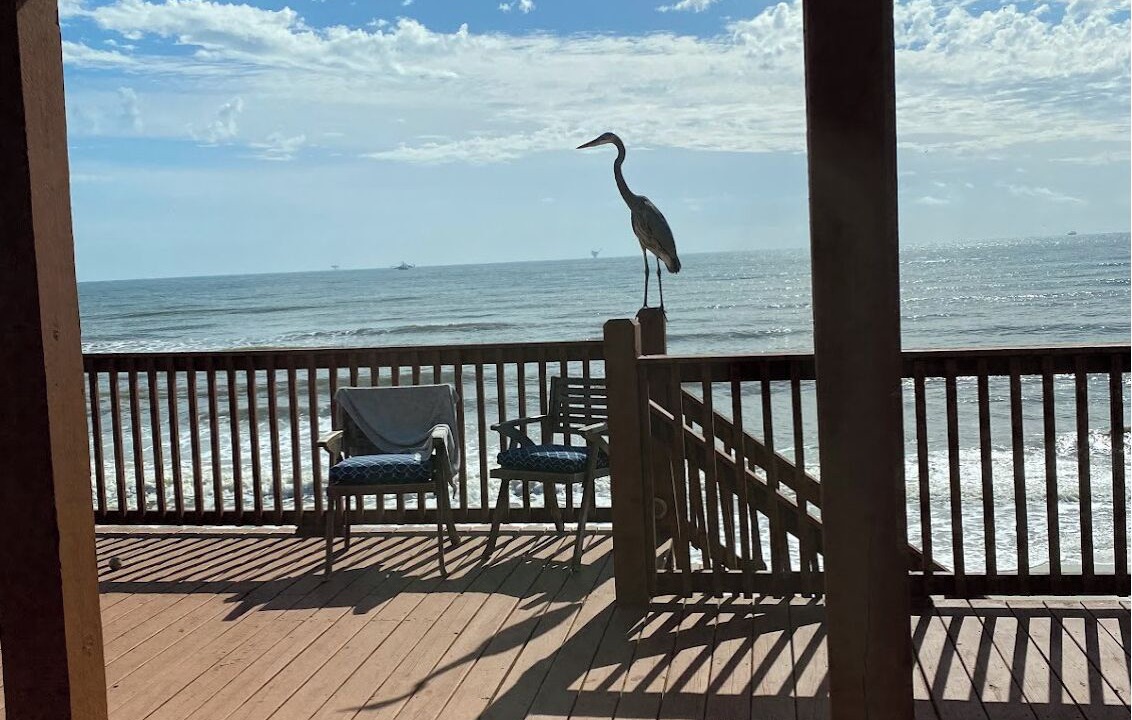 Photo of Others in Dauphin Island