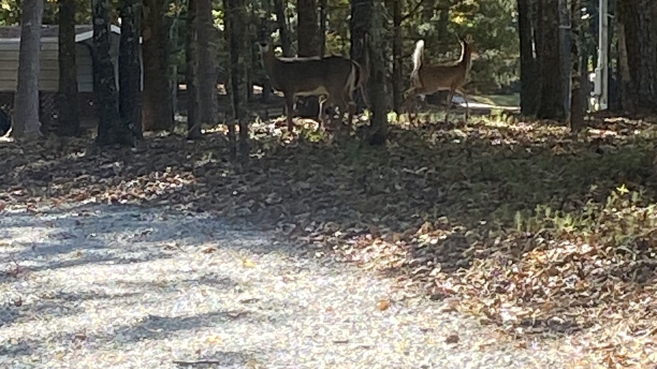 Photo of Others in Eatonton