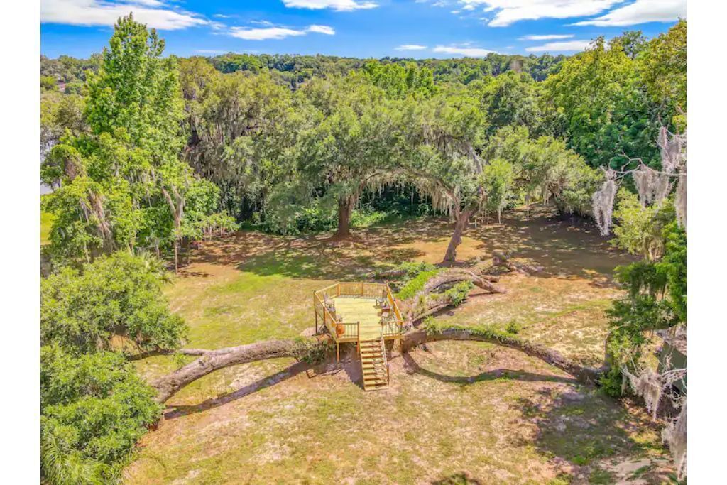 Photo of Outdoor in Mount Dora