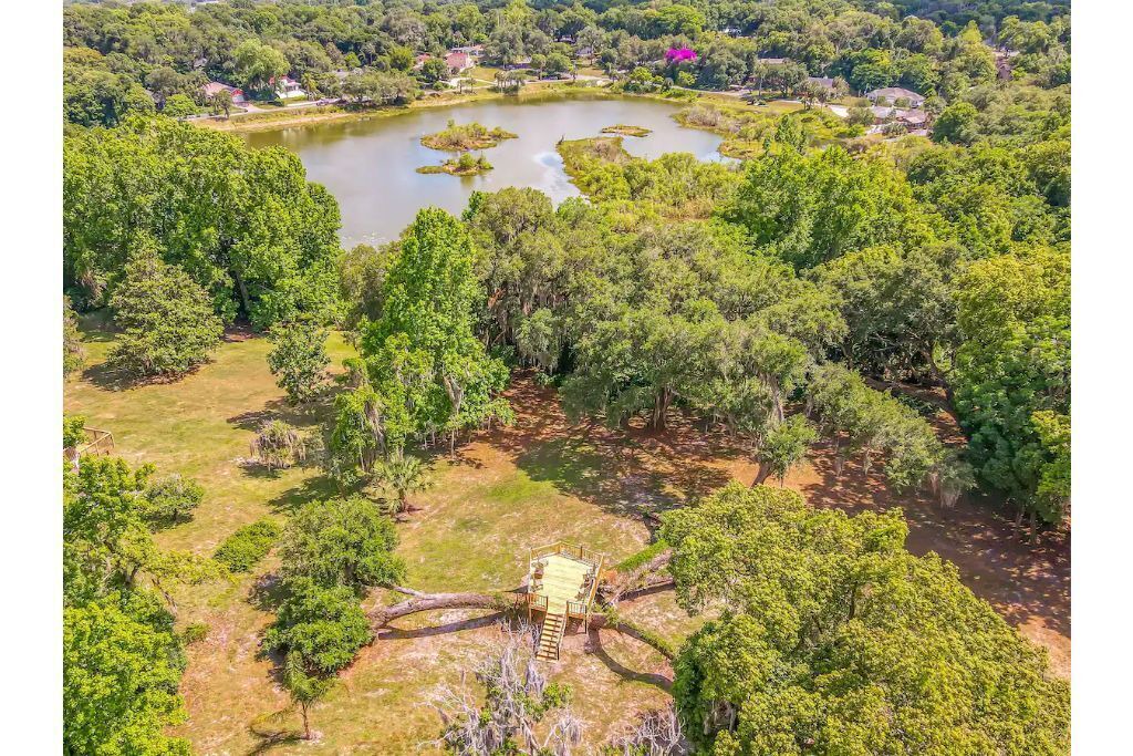 Photo of Outdoor in Mount Dora