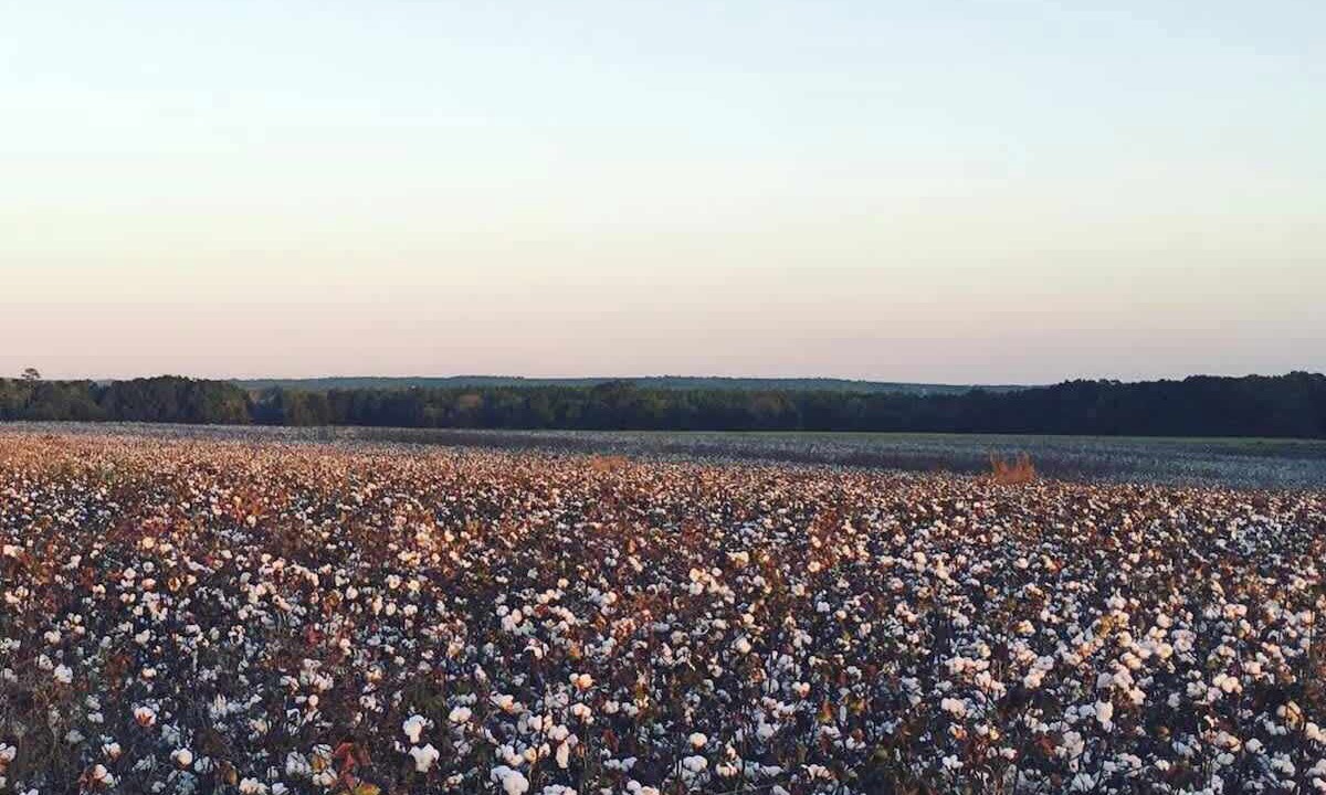 Photo of Others in Enterprise