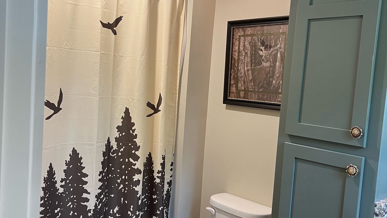 Photo of Bathroom in Collins