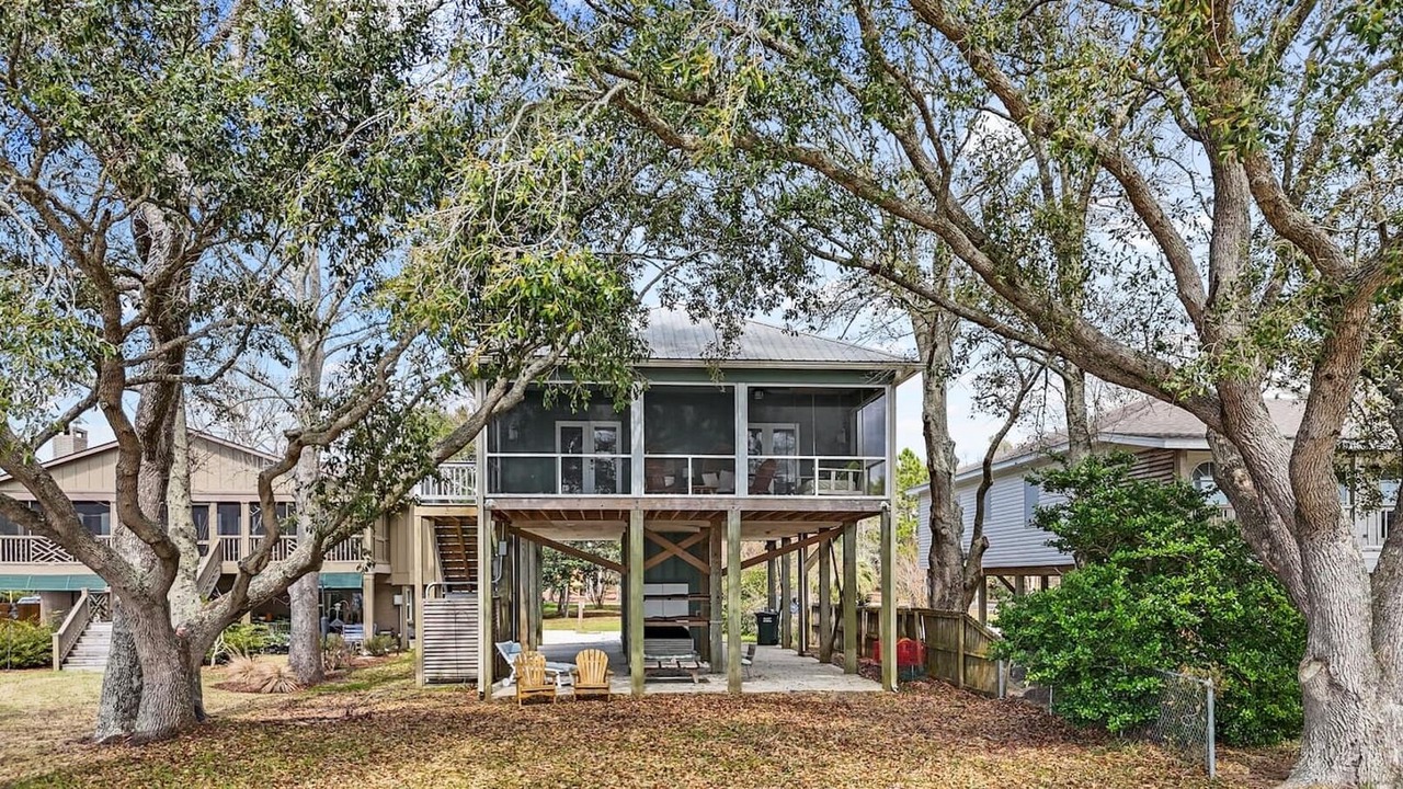 Photo of Others in Alabama Gulf Coast