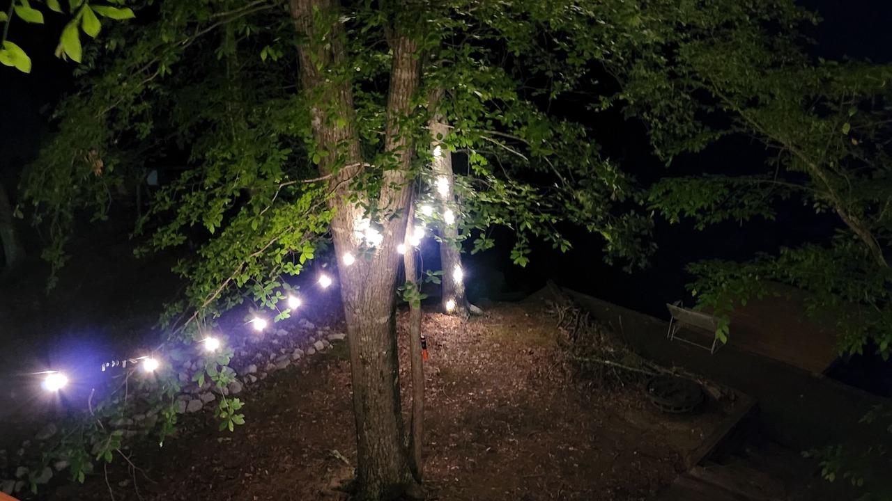 Photo of Outdoor in Wedowee