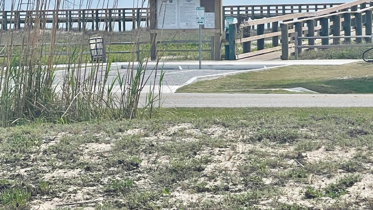 Photo of Others in Dauphin Island