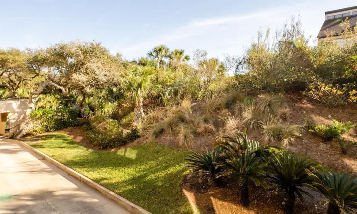 Photo of Outdoor in Fernandina Beach