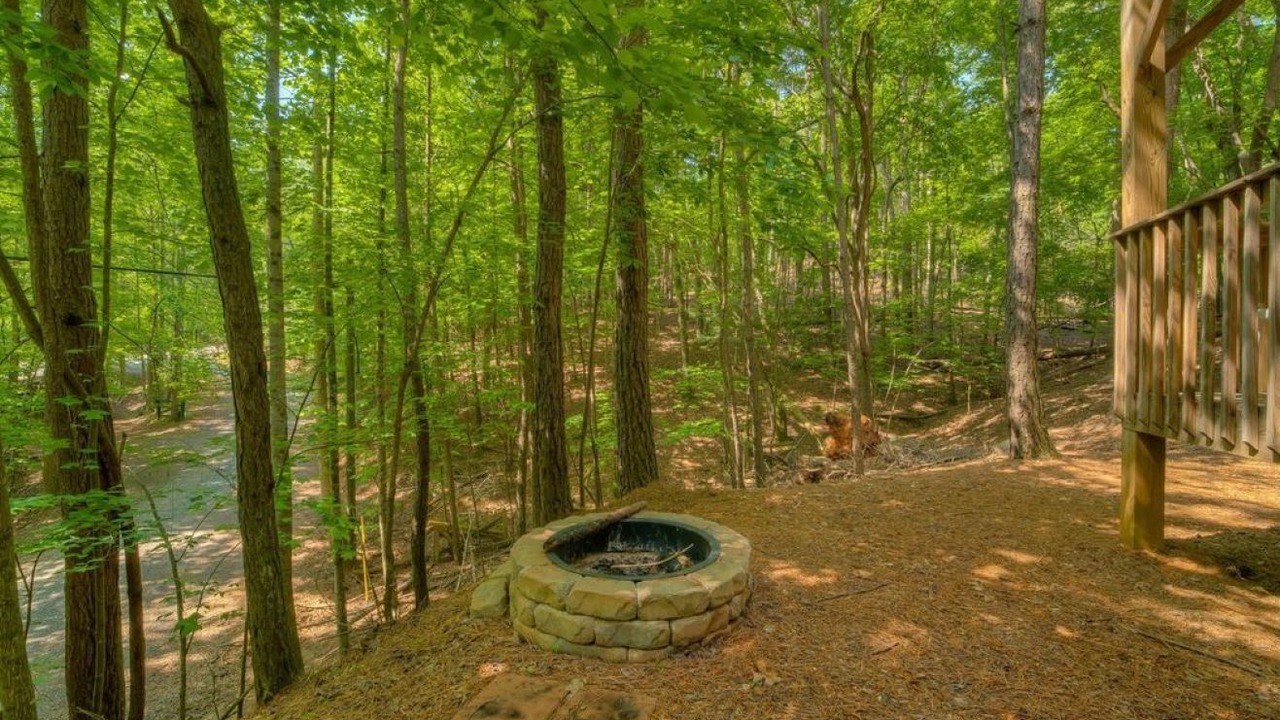 Photo of Outdoor in Ellijay