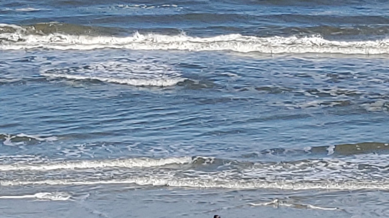 Photo of Others in Daytona Beach Shores