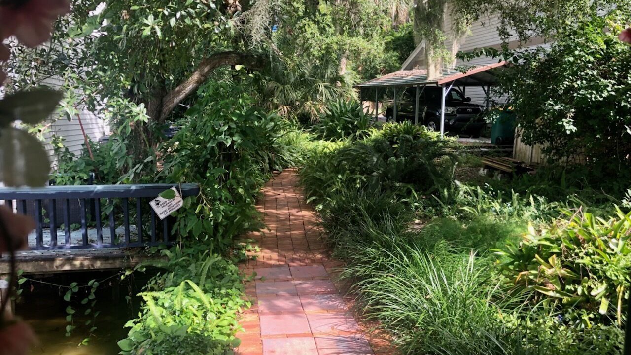 Photo of Outdoor in Mount Dora