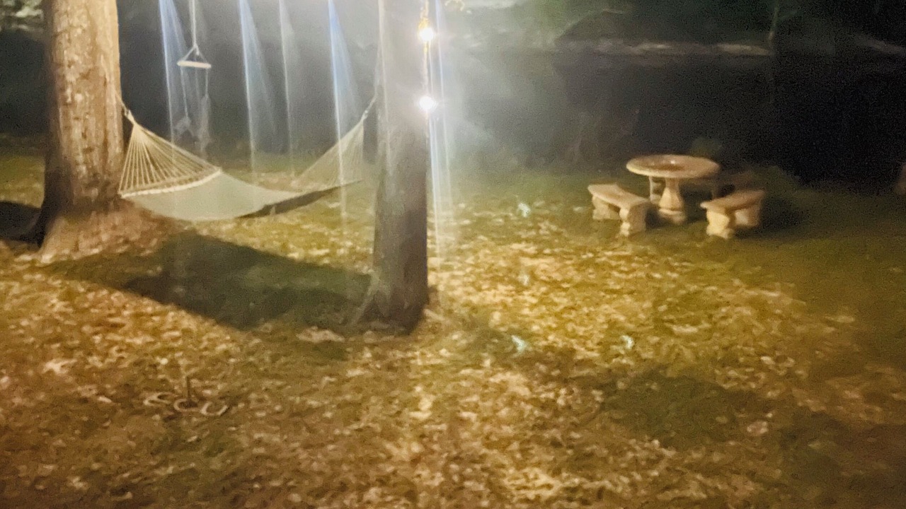 Photo of Outdoor in Talisheek