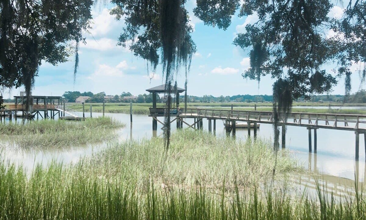 Photo of Others in Savannah