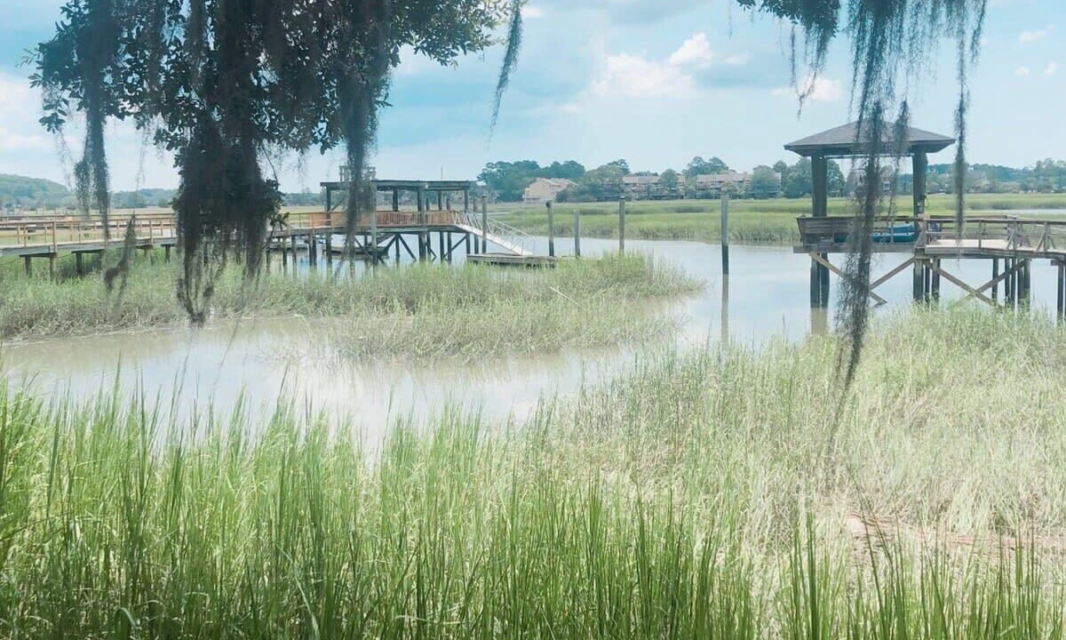 Photo of Others in Savannah