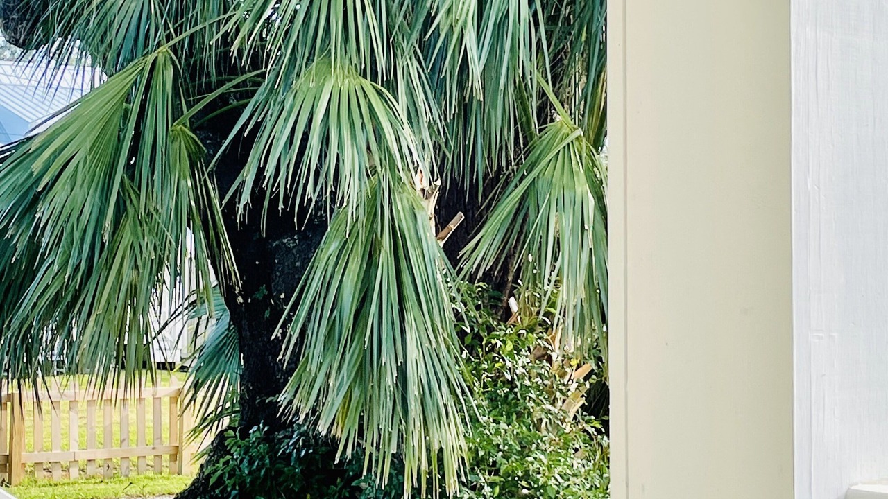 Photo of Outdoor in Old Town