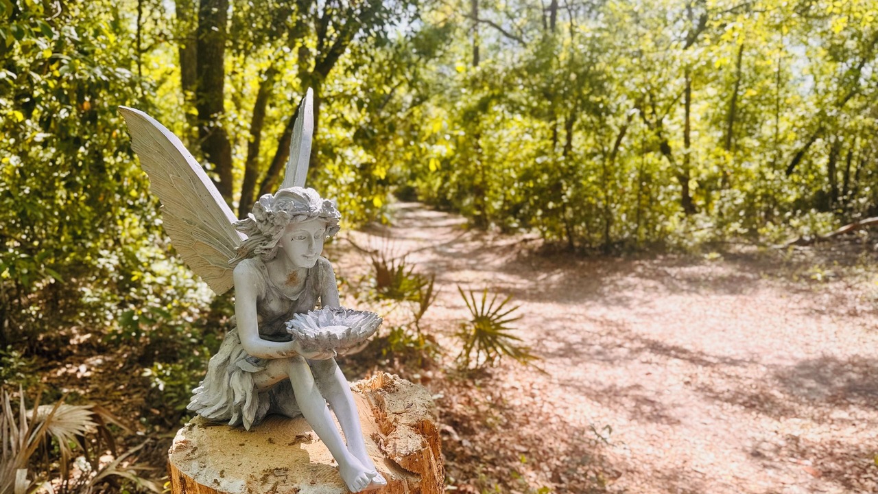 Photo of Outdoor in Live Oak