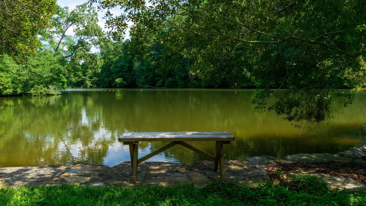 Photo of Outdoor in Tuscaloosa